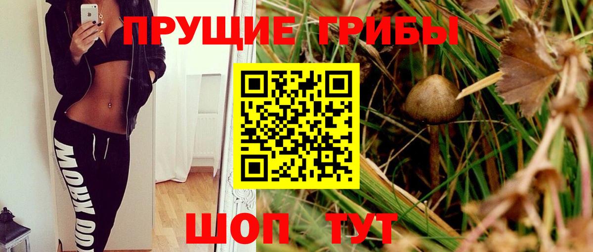 Псилоцибиновые грибы Psilocybe Ялта